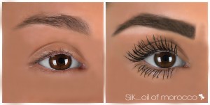 SilkOilofMorocco-FibreBrowEnhancer-Before&After-Giorgia [WORKING]