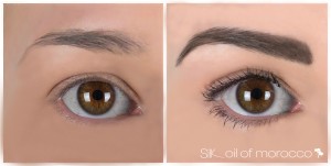 SilkOilofMorocco-FibreBrowEnhancer-Before&After-Jade [WORKING]