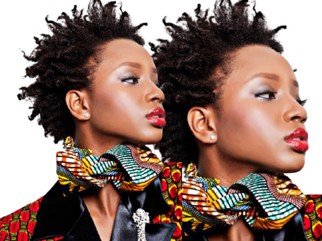Stunning 4A to 4C Hairstyles: Embrace Your Natural Coils