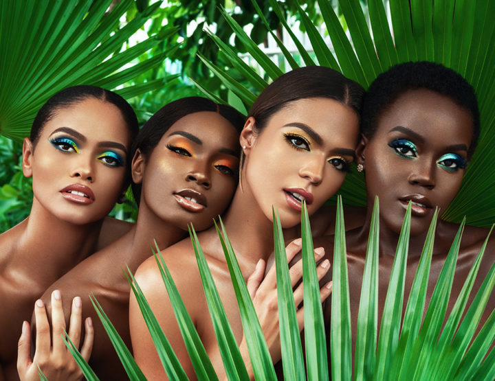 Tropical Dreams Eyeshadow Palette from OPV Beauty